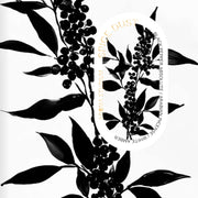 AROMA STUDIUM Spice Dust